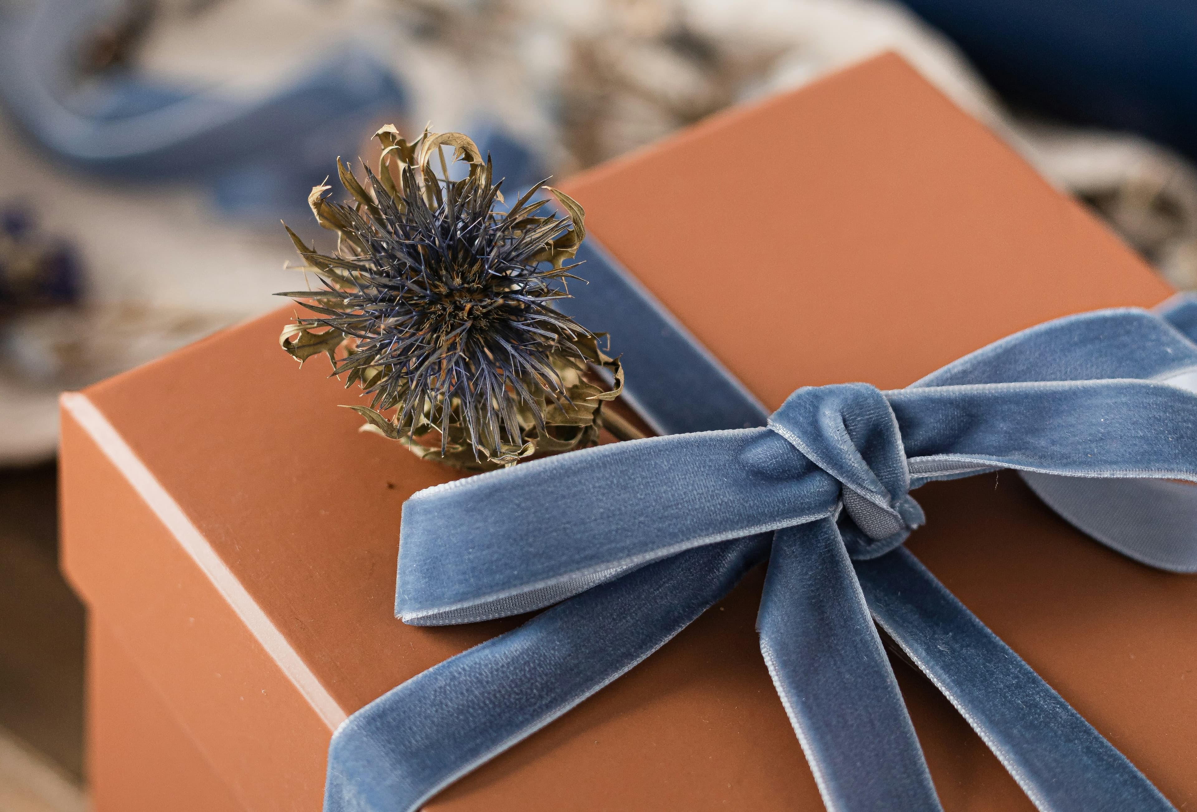 A brown gift box with a blue velvet ribbon and a dried flower on top.